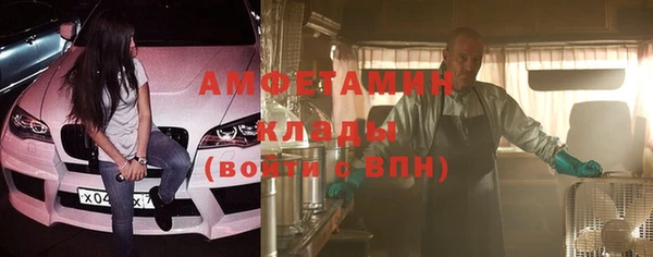 шишки Пересвет