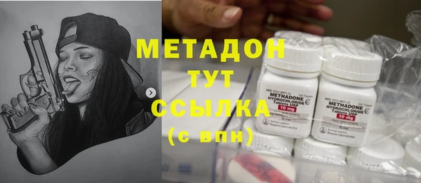 шишки Пересвет