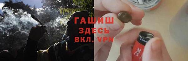 шишки Пересвет