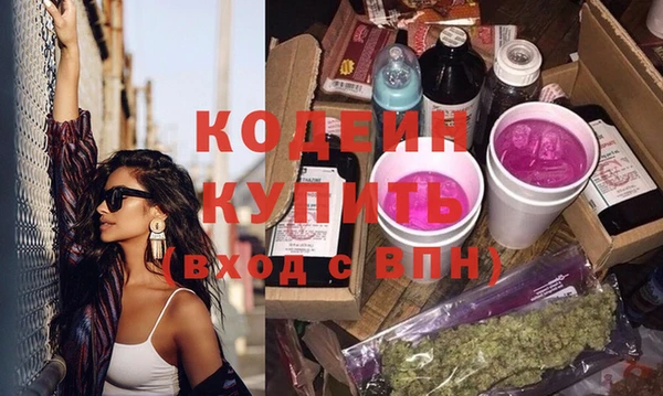 шишки Пересвет