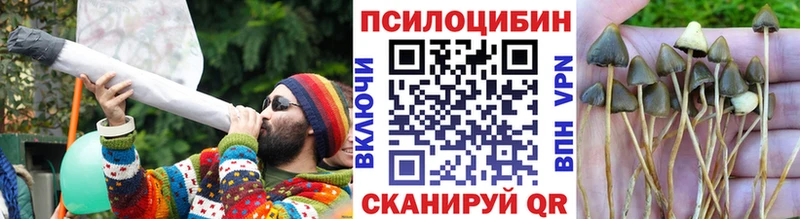 Псилоцибиновые грибы Psilocybine cubensis Югорск